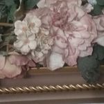 Juana Baez - @juana.baez.796774 - Instagram