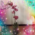Juana Barraza - @juana.barraza.7921 - Instagram