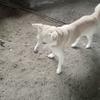 Juana Bell - @juana.bell - TikTok