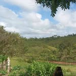 Juanita Cárcamo Berrios - @juana.berrios.16 - Instagram