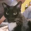 us_vibzz - @juanaborja04 - TikTok