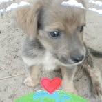Juana Brito - Facebook