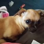 Juana Brown - @juana.brown.731 - Instagram