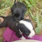Juana Brown - @juana.brown.92798 - Instagram
