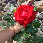Candela - @juanacandelaria40 - Instagram