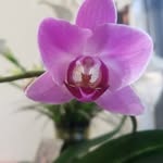 Juana - @juana_candelariagggggg - Instagram
