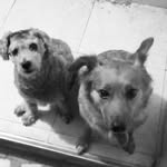 Canela y Juana - @juana.canela.ro - Instagram