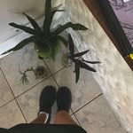 juana canela - @kanelajuana - Instagram