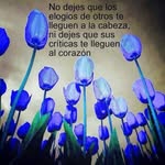 Juana Carrera - @juanacarrera55 - Instagram