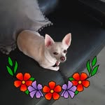 Juana Cintron - @juanacintr - Instagram