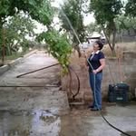Juana Cobos - @juana.cs.go - Instagram