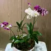 Juana - @juana.cordero - TikTok