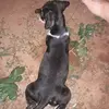 juanafredo78 - @juanafredo - TikTok