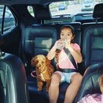 Juana puppy� house - @juanapuppyhouse - Instagram