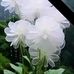 Juana Ignacio - Facebook
