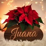 Juana Ignacio - @juana.ignaciofeliciano - Instagram