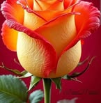 Juana Jose - Facebook