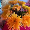 lemusjuana - @juana.lemus91 - TikTok