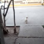 Juana Leos - Facebook
