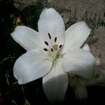 juana lizardo - @juanita.lizardo.jl94 - Instagram