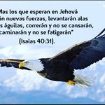 juana lizardo - @juana_lizardo - Instagram