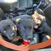 Juanita MacIntosh - Facebook