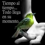 juana montes montes - @juanamontesmont - Instagram