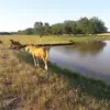 Juana Morgan - @juana.morgan05 - TikTok