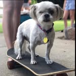 Murray Juana - @murray_juanasmokeabowl - Instagram