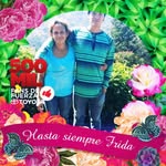 Juana Narvaez - @juana.narvaez.988 - Instagram