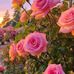 Juana Narvaez - Facebook