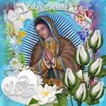 Juana Ocasio - @juana.ocasio.50 - Instagram