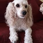 Juana Palacio - @juana.palacio.9678 - Instagram