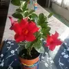 Juana Palacio - @juana.palacio1 - TikTok