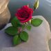 Juana ROdas - Facebook