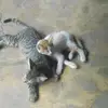 Juana_rodas - @juana_rodas7 - TikTok