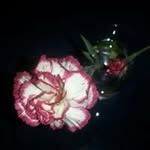 Juana Rodas Sanz - @juana.maria.rodas - Instagram