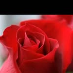 Juana Serna - Facebook