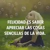 Juana Serna - @juana.serna3 - TikTok