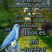 Juana Alejandrina Solano Aldana - Facebook