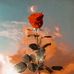 Juana Solano - Facebook