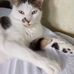 Juana Sousa - Facebook