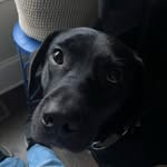 Jude LeBlanc - @_jude_the_dude_14 - Instagram