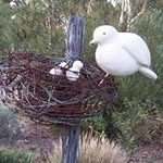 Judy Milner - @gildedgarden - Instagram