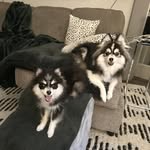 Judy Robbins Milner - @jude51 - Instagram