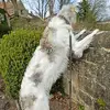 jude morton - @jude.morton4 - TikTok