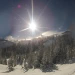 Judy Morton - @rozreportsgreen - Instagram