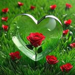 Jude Richard - Facebook