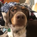 Jude Richards - @juderichards_1001 - Instagram
