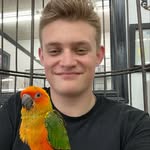 Jude Royal - @jude_royal9 - Instagram